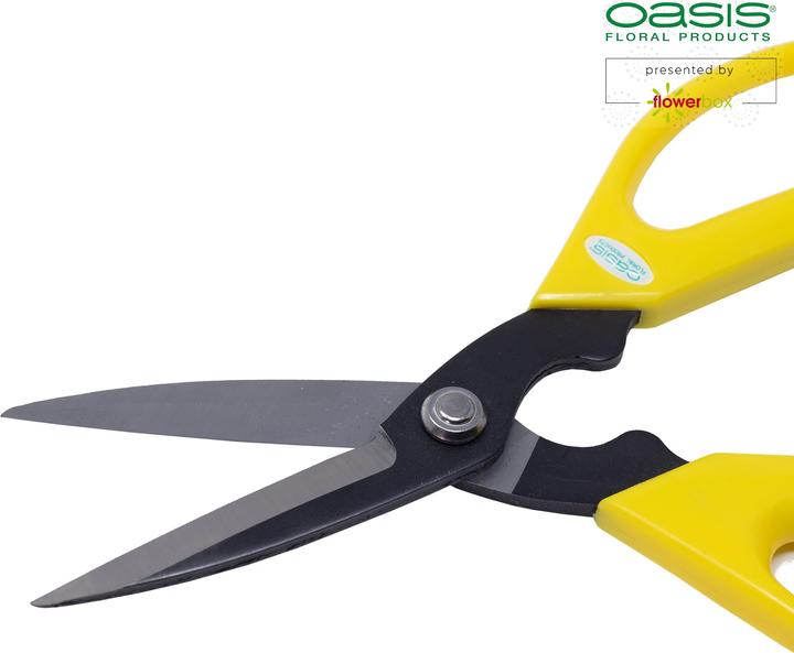 Actual product image Oasis Carbon shears (5.60 cm)