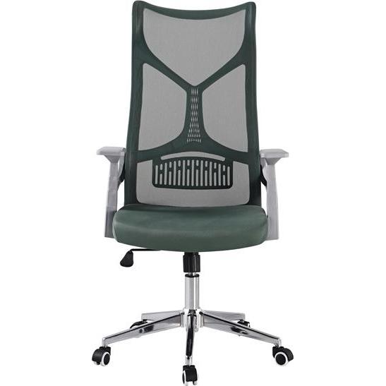 Domoletti, Chaise de bureau, OFFICE CHAIR GREEN DR-OC-0417 LM40