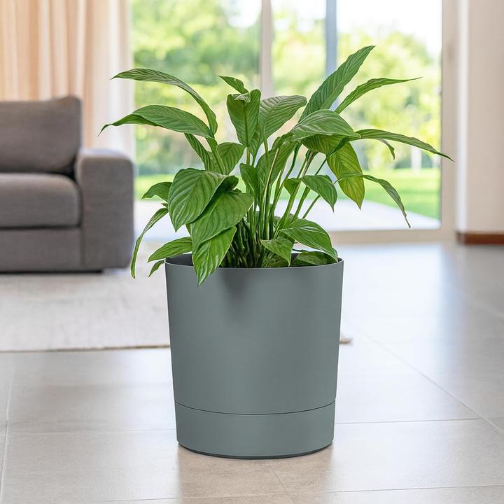 Produktbild Konzept Blumentopf mit Untersetzer