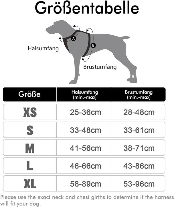 Actual product image Rabbitgoo No-pull dog harness (L, Dog, General)