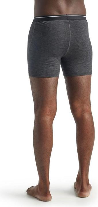 Actual product image Icebreaker Anatomica (XL)