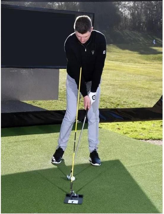 Actual product image Swing Plate Swing training