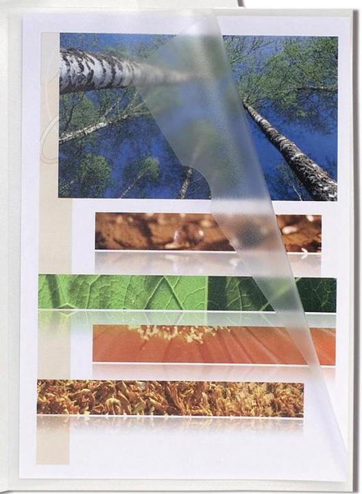 Produktbild Exacompta Hüllen und Taschen (A4, 50 x)