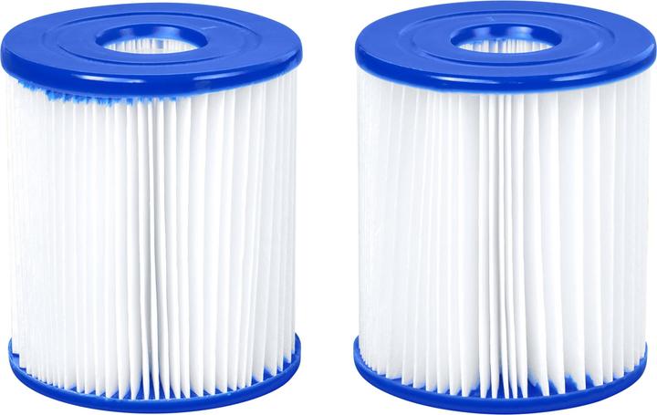 Actual product image Bestway filter cartridge