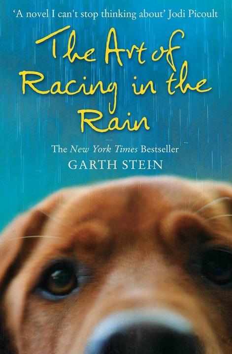 Produktbild The Art of Racing in the Rain (Englisch, Garth Stein, 2009)