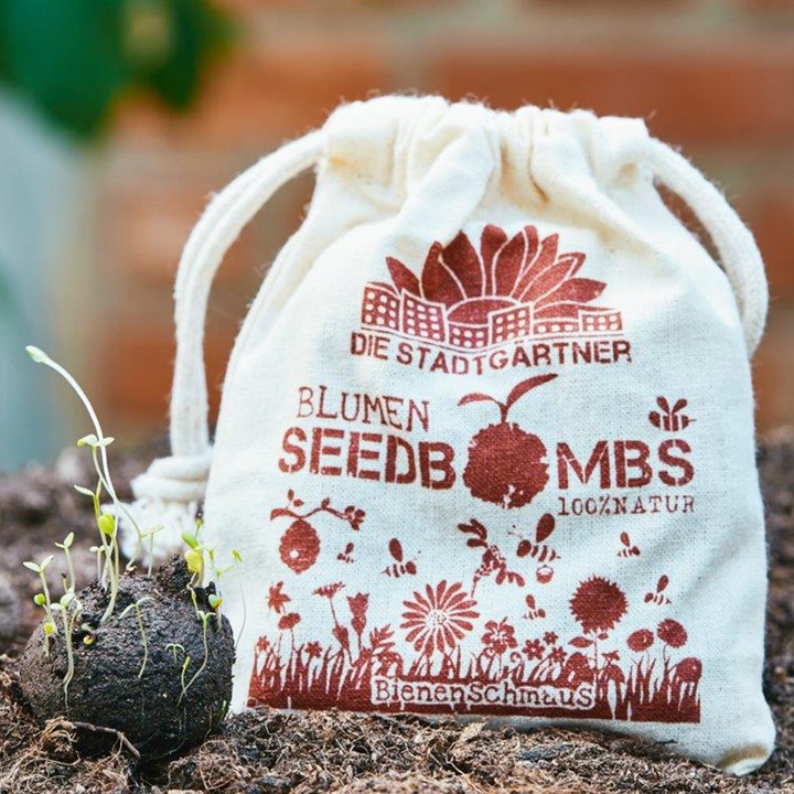 Image du produit Die Stadtgärtner Bombes de graines Délice des abeilles (Graines de fleurs)