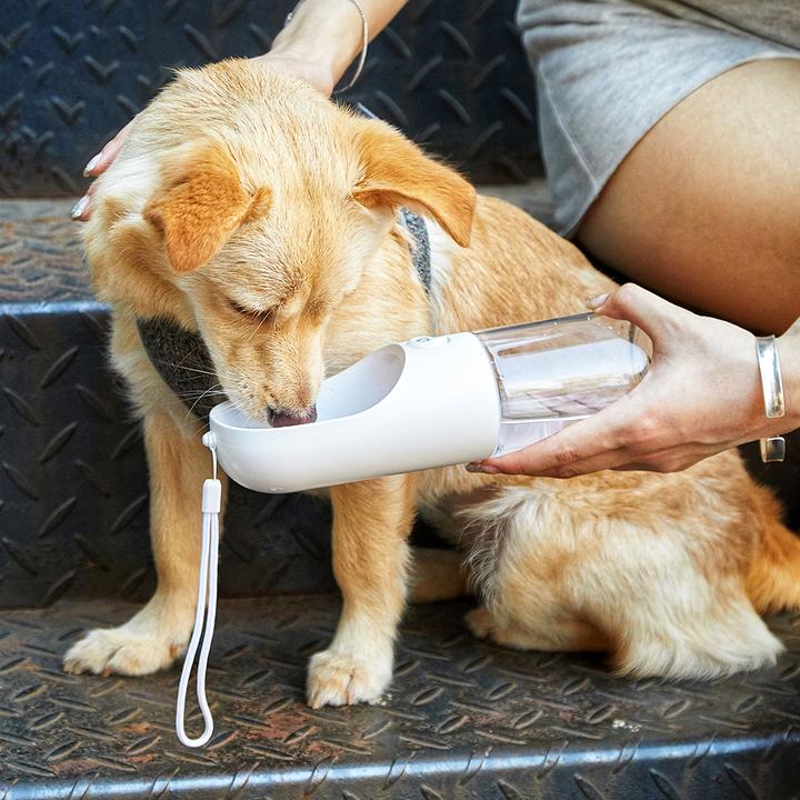 Actual product image Petkit Drinking bottle for on the go (0.40 l)