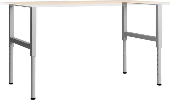 Image du produit vidaXL Metallrahmen
