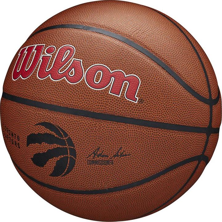 Produktbild Wilson Nba Team Alliance Basketball Tor Raptors (7)