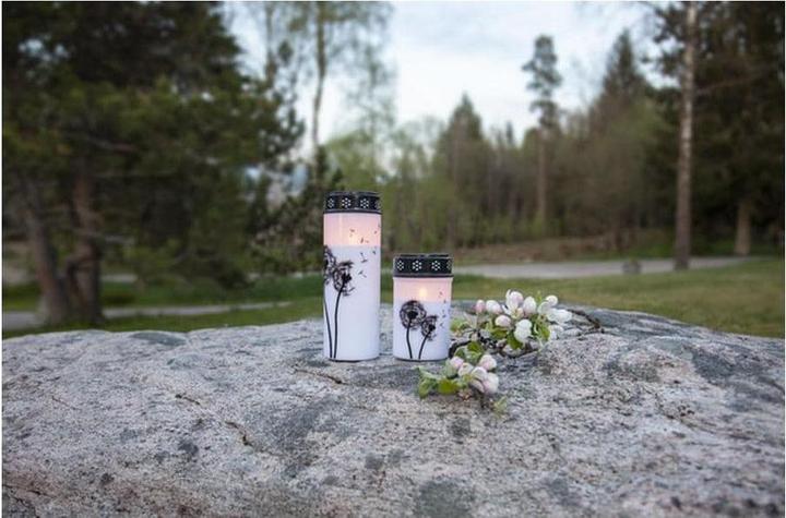 Produktbild Star Trading LED Grablicht Dandelion (1x)