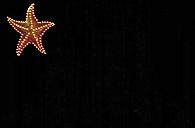 Actual product image Cokin Filter A340 Creative Mask (67 mm, Colour filters)