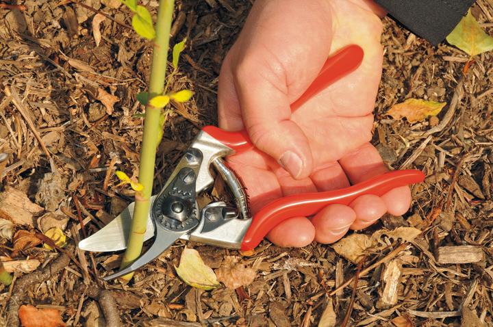 Image du produit Felco Cisailles de jardin 6