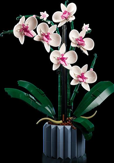 Immagine prodotto LEGO Orchidea (10311, LEGO Botanical)