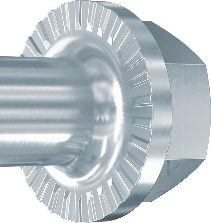 Actual product image Fischer 558227 (10 Screws per piece)