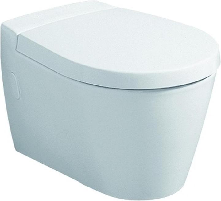 Geberit Sedile WC VISIT con coperchio, cerniere cromate bianco