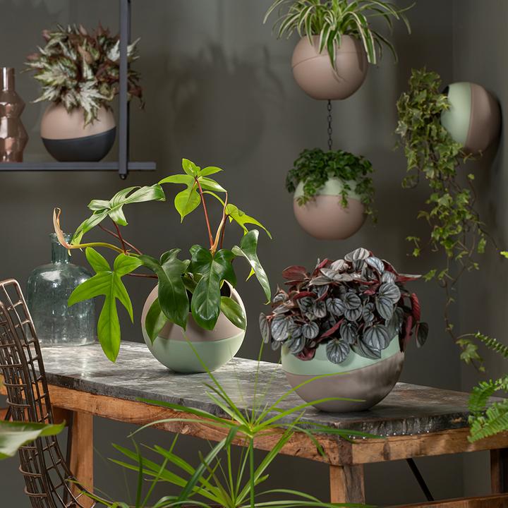 Image du produit Floriate Cache-pot Globee (20 x 20 cm)