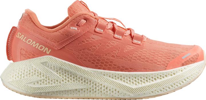 Actual product image Salomon Aero Glide Laufschuhe (37 1/3)