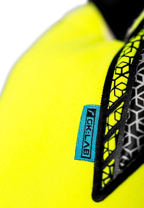 Image du produit Reusch Attrakt GoldX Evolution (10.5)