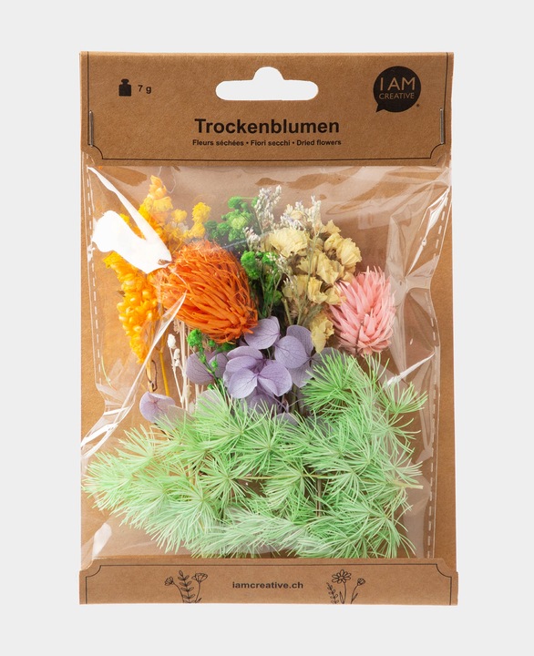 I Am Creative Kit de fleurs séchées (Fleurs séchées)