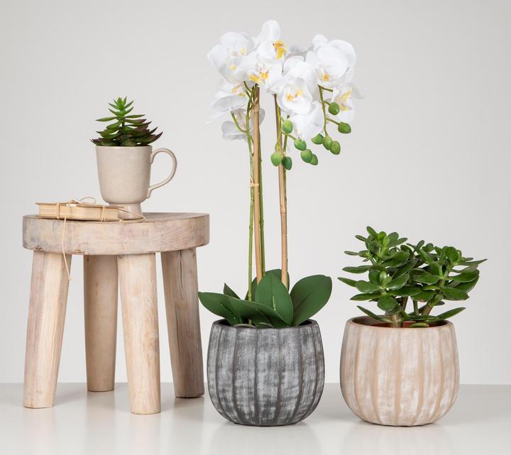 Produktbild Scheurich Blumentopf Runa 2.1 l, Grau (14 x 11 cm)