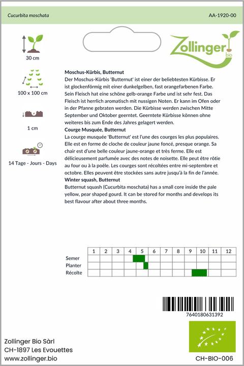 Image du produit Zollinger Bio Courge, butternut (Germes)