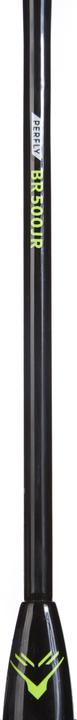 Actual product image Perfly BR500