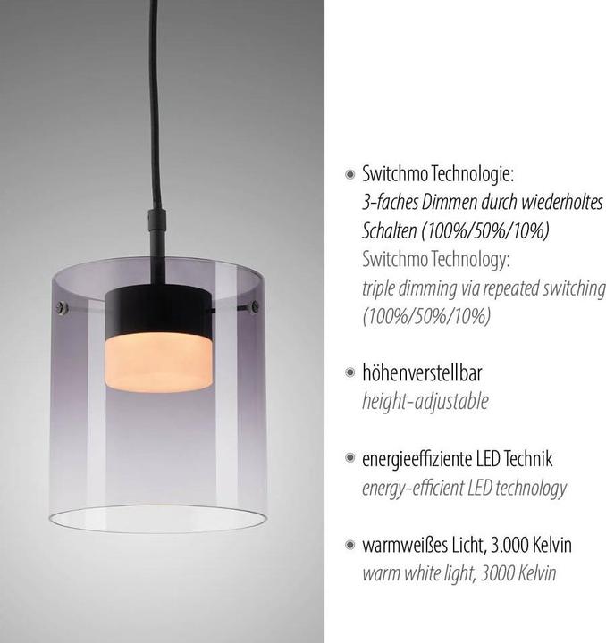 Actual product image Just Light LED-Pendelleuchte 14042-18, 7,5W, 800lm, 3000K, schwarz (800 lm)