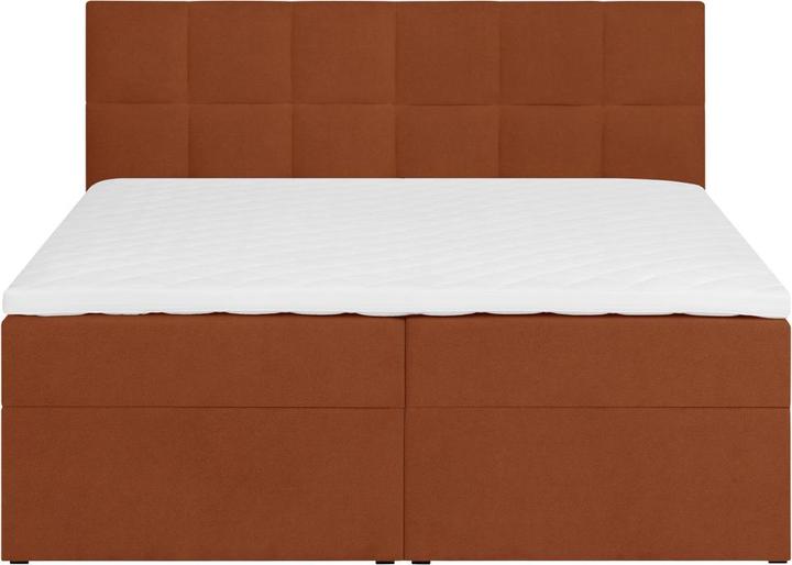 Actual product image Livetastic Lorie (180 x 200 cm)