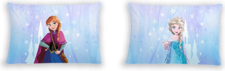 Produktbild Disney Anna & Elsa (160 x 210 cm, 65 x 100 cm)
