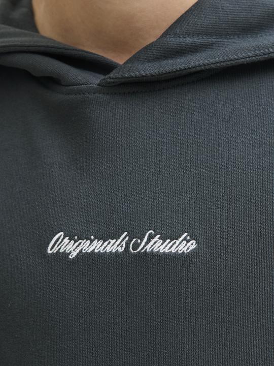 Immagine prodotto Jack & Jones Jornorrebro Emb Sweat Hood Noos Jnr (164)