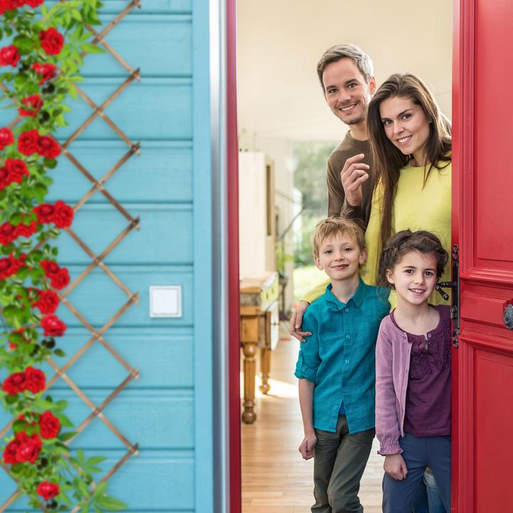 Actual product image Relaxdays Trellis (1.50 cm, 60 cm)