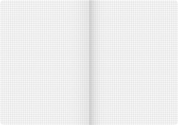 Actual product image Desk pad FACT!plus DIN A4 squared brown 96 sheets (A4, Checked)