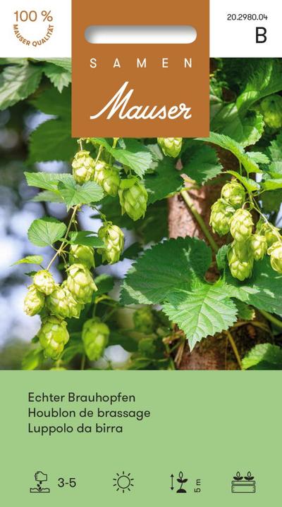Produktbild Samen Mauser Echter Brauhopfen (Kräutersamen)