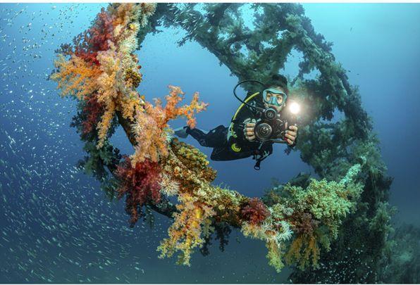 Produktbild Sealife Mikro-Weitwinkel-Kuppel- objektiv (SL052)