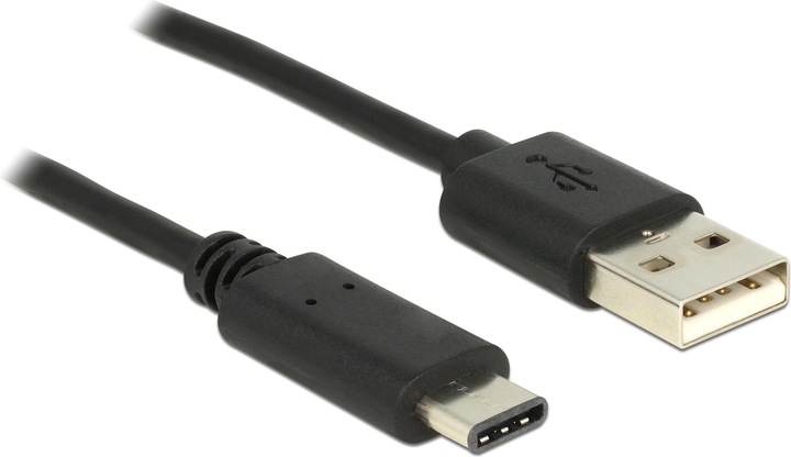 Actual product image Delock USB 2.0 Cable A-C (0.50 m, USB 2.0)