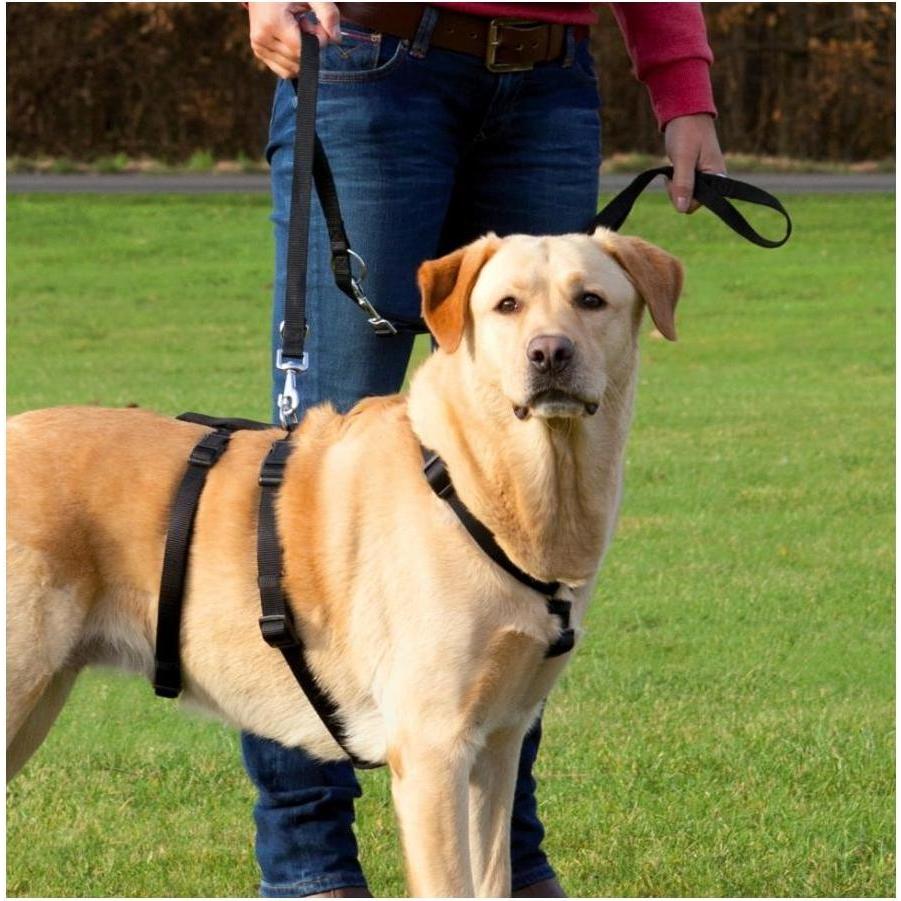 Thumbnail - Trixie Spezialgeschirr (S, M, Hund, Hundesport), Halsband + Leine