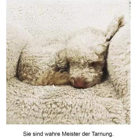 Der herabschauende Hund, Belletristik
