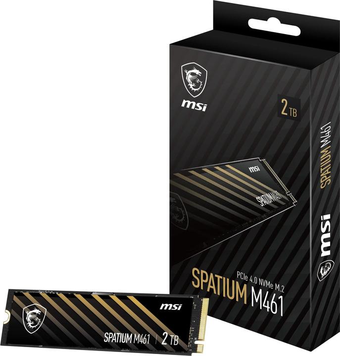 MSI Spatium M461 (2000 GB, M.2 2280)