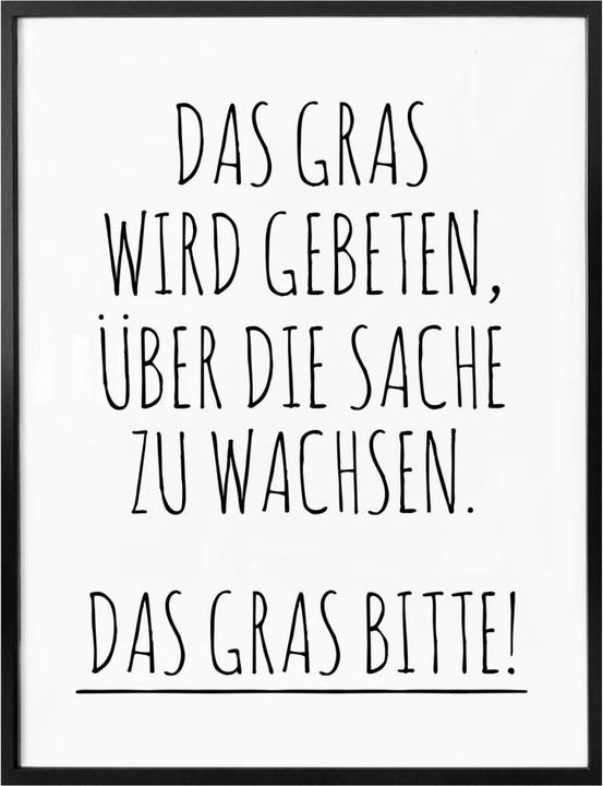 Trenddeko Si chiede che l'erba cresca sulla questione.