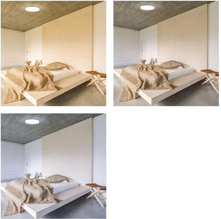 Immagine prodotto Emos Plafoniera LED, rotonda, 30W, dimmerabile, bianco caldo/neutro/freddo (1800 lm)