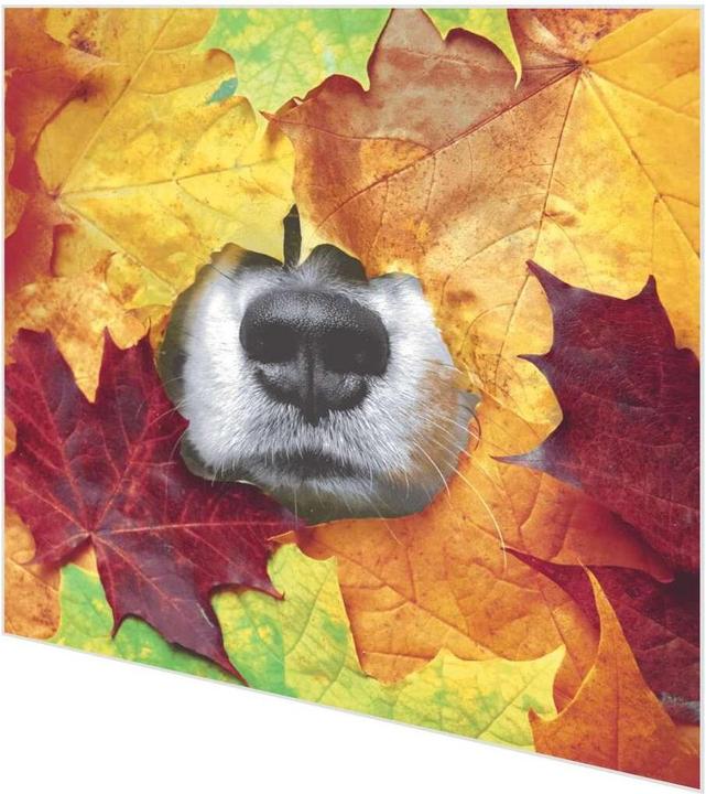 Produktbild Paper + Design Motivserviette 33x33cm Herbst (20 x, 33 x 33 cm)