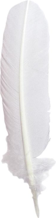 Actual product image Jacques Herbin Writing instruments (White)