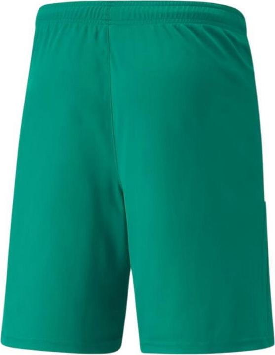 Produktbild Puma TeamLIGA Shorts (M)