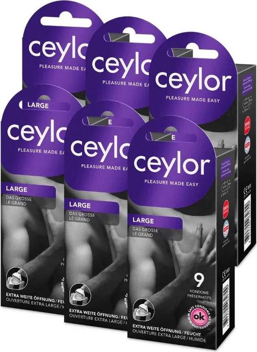 Produktbild Ceylor 6er-Pack Large (54 Stk.)