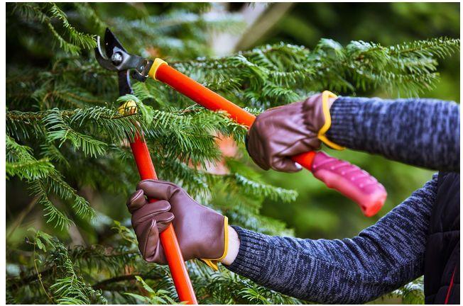 Produktbild Gebol Gartenhandschuh Quercus 9 (9)