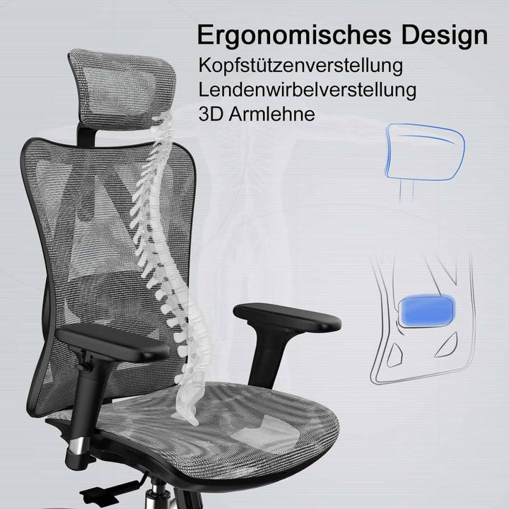 Image du produit Sihoo Chaise de bureau avec soutien lombaire