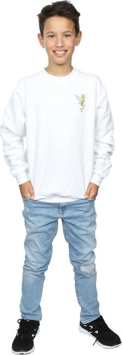 Produktbild Disney Tinkerbell Chest Sweatshirt Jungen (116)