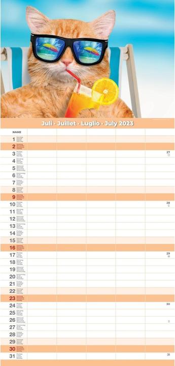 Produktbild Familienplaner Premium Funny 2023 24.5 x 51.5 cm (24.5 x 51.5 cm)