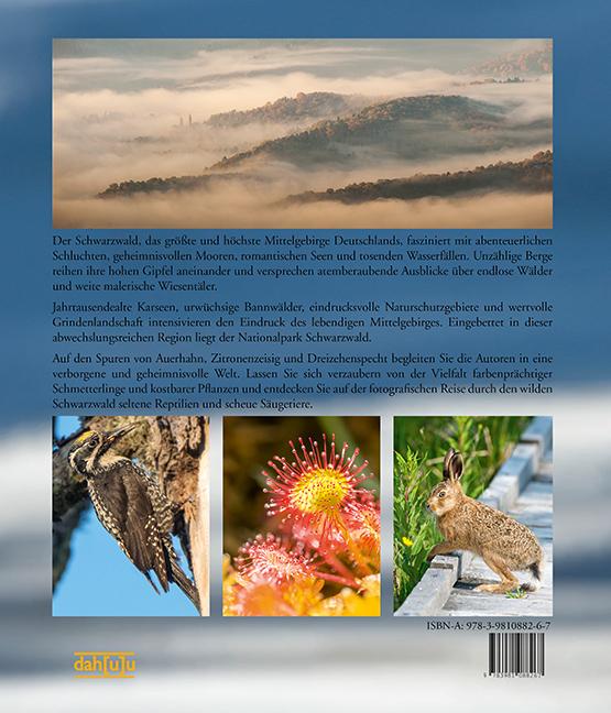 Produktbild Naturerlebnis Wilder Schwarzwald (Deutsch, Gaby Hufler, Norbert Daubner, 2014)