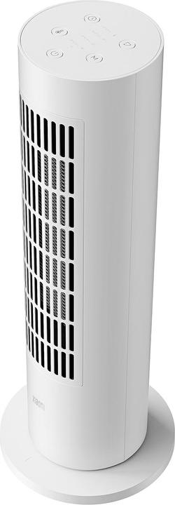 Actual product image Xiaomi Mi BHR6101EU (2000 W)